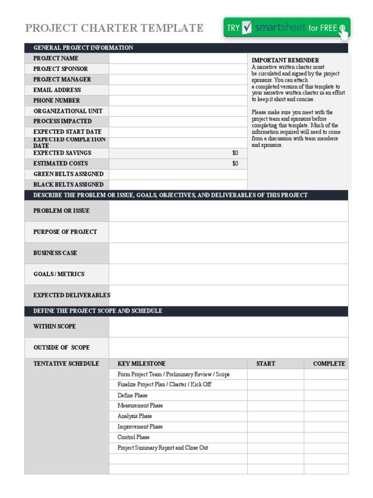 IC Project Charter Template 8556 | Download Free PDF | Reliability ...