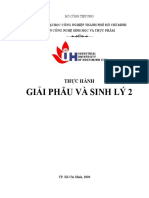 TH C HÀNH GPSL2 - Version 2020