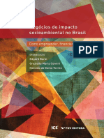 Negócios-de-impacto-socioambiental-no-Brasil_Como empreender, financiar e apoiar_ebook