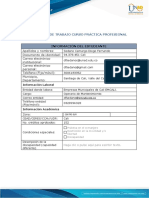 Anexo 1 Formato Plan de Trabajo Práctica Profesional OIR 1602 2021