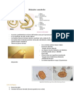 Helmintiasis Nemátodos (1) - PRST