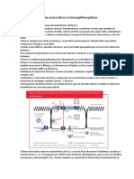 Anemias Microcíticas (2) - HMT II