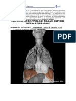 09 Ejercicio Anatomia Sistema Respiratorio GC