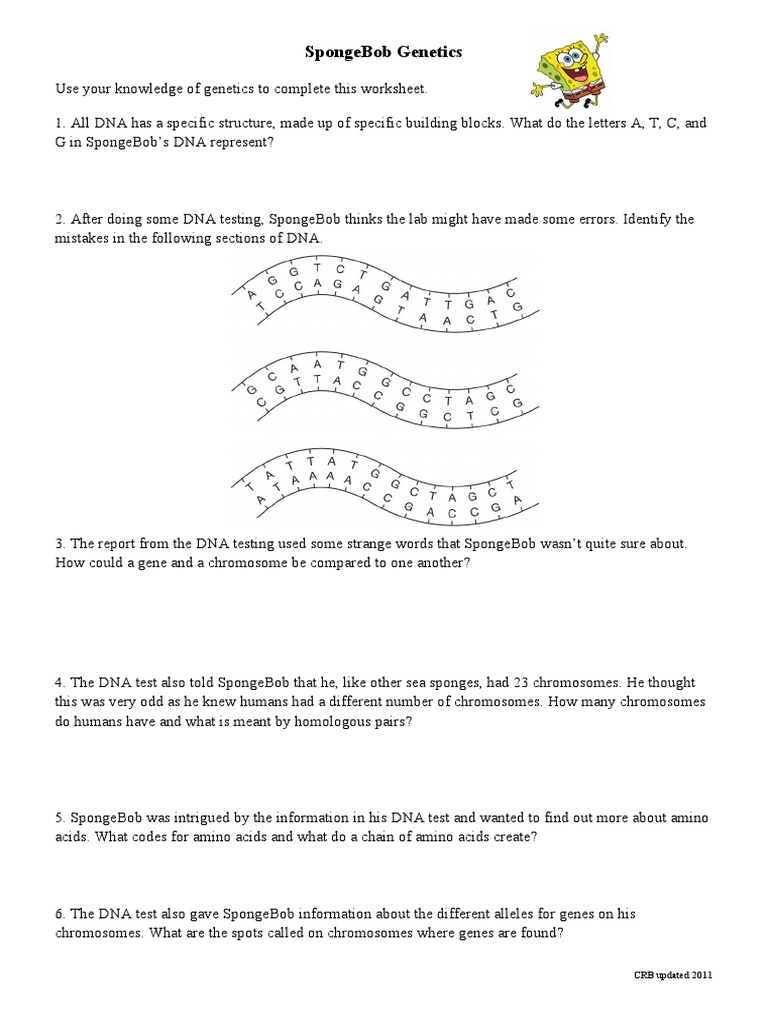 SpongeBob's DNA Discovery | PDF | Zygosity | Genotype