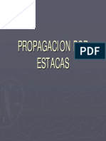 Pp. Estacas