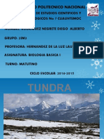 Ecosistema Tundra