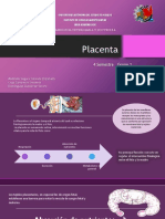 Placenta Presentación 