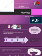 435466510-Placenta