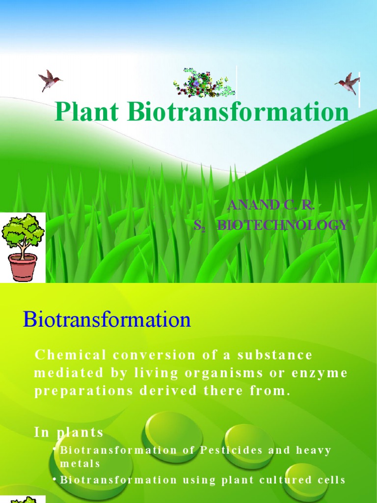 Plant Biotransformation Anand C R S Biotechnology Pdf Cytochrome