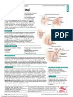 PDF Pat 052511