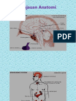 Asuhan Keperawatan Sistem Endokrin