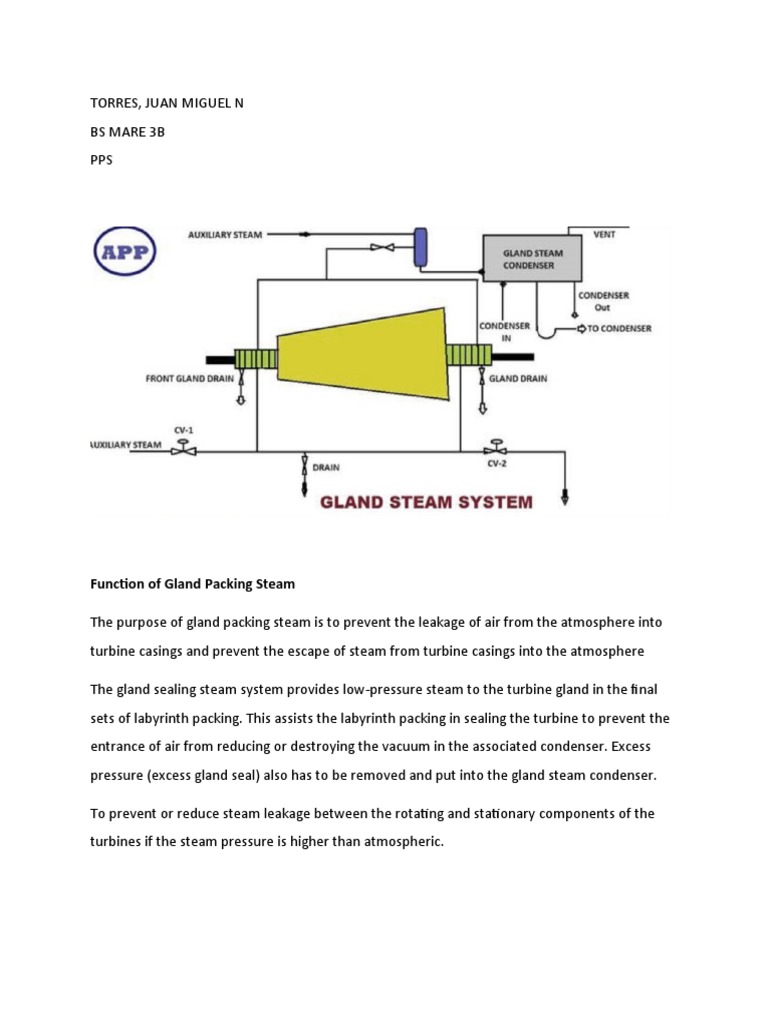 Function of Gland Packing Steam | PDF