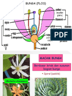 Bunga Buah Dan Biji 6 7dan 8