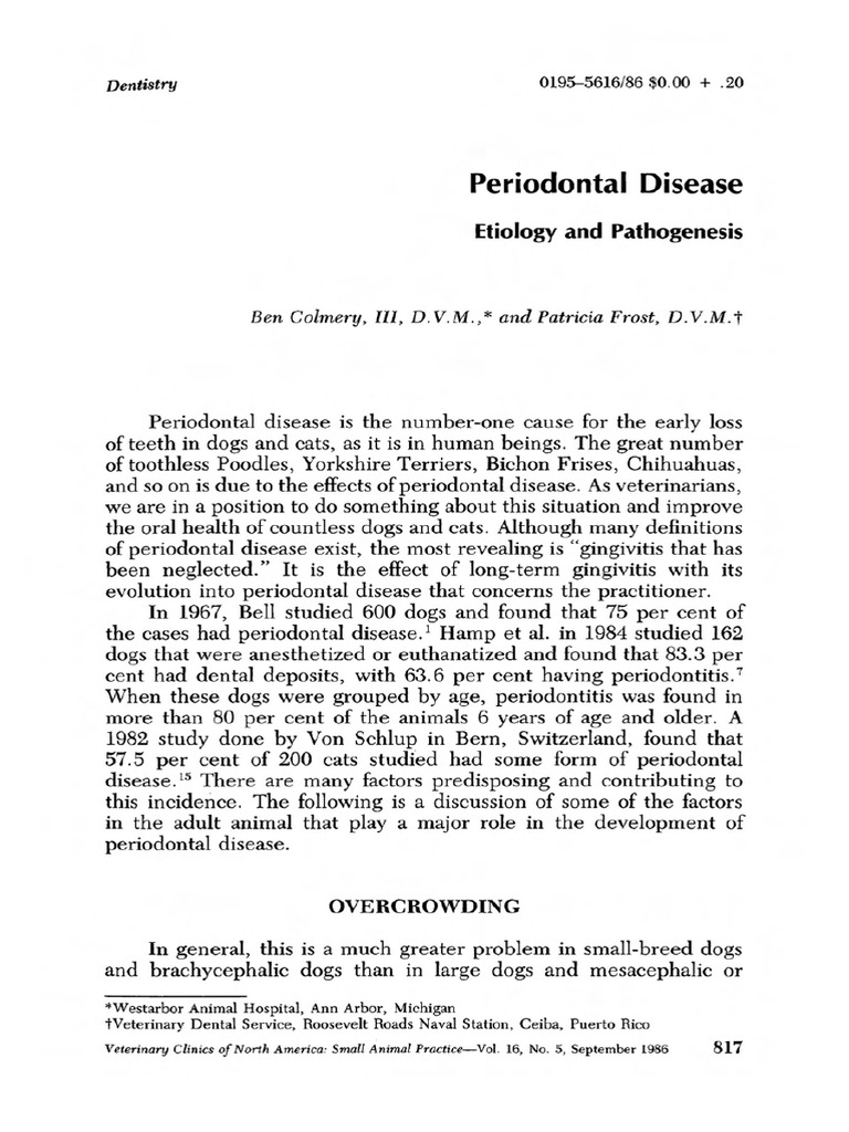 Understanding Periodontal Disease in Pets | PDF | Periodontology ...