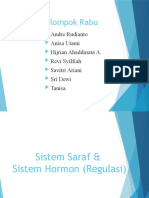 Sistem Saraf & Sistem Hormon (Regulasi) Kelompok Rabu