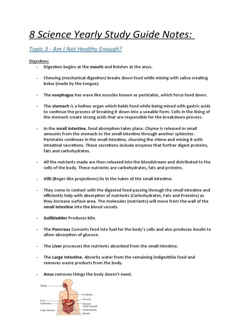 Science Yearly Study Guide: Health & Biology | PDF | Digestion | Lung