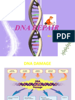 Dna Repair: Anand C.R. Msc. Biotechnology Cusat