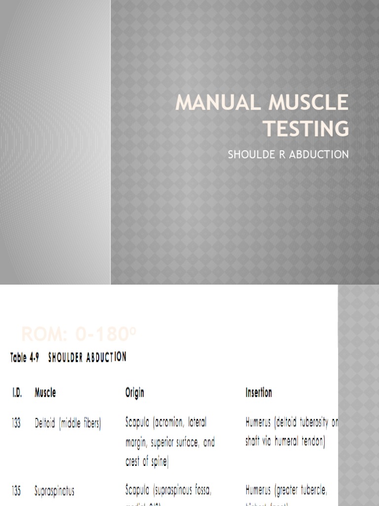 Muscle Testing for Therapists | PDF | Anatomical Terms Of Motion | Shoulder