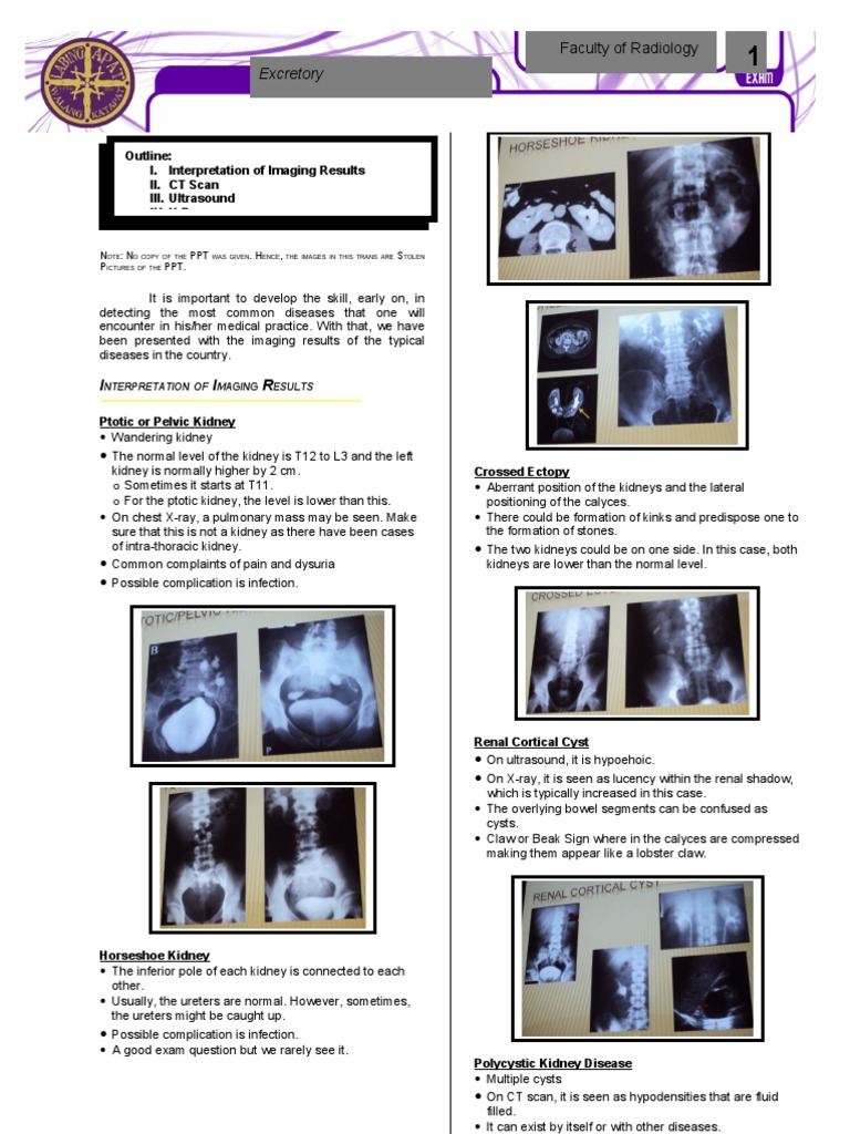 Laboratory Skills Session on Radiology Kidney Radiology