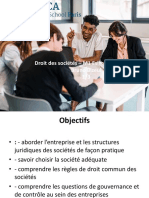 Droit Des Sociétés M1 - 1