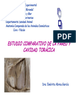 Pared y Cavidad Toracica-Comparada