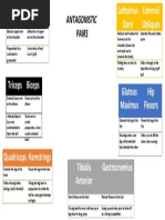 Antagonistic Pairs