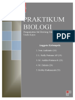 PRAKTIKUM_BIOLOGI_Pengamatan_Sel_Bawang