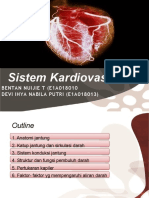 SISTEM KARDIOVASKULER