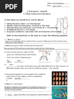 genes-and-chromosomes-worksheet-pdf-chromosome-sex
