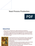 Yeast Process Production