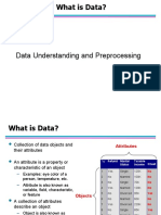 Data Understanding and Preprocessing
