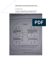 Teoría Organizaciones Examen 2020