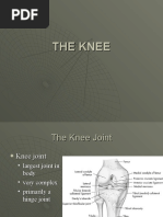 Download THE KNEE by Gurpreet Ahuja SN50474152 doc pdf