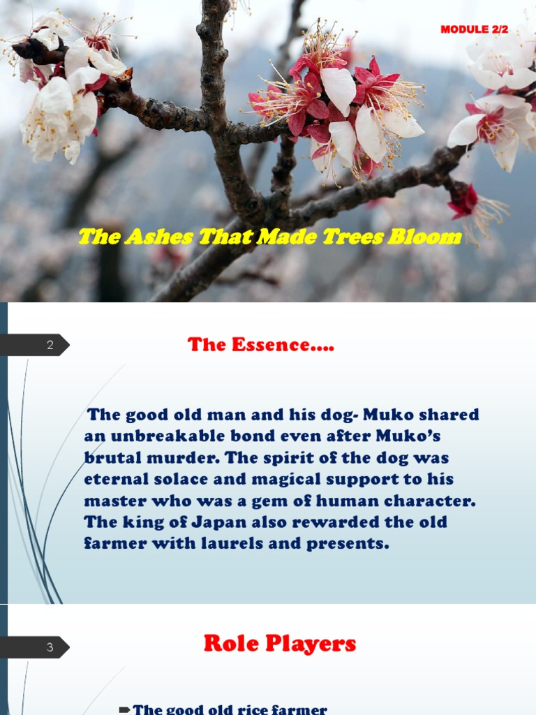 Class VII English The Ashes That Made Trees Bloom 2 2 PDF