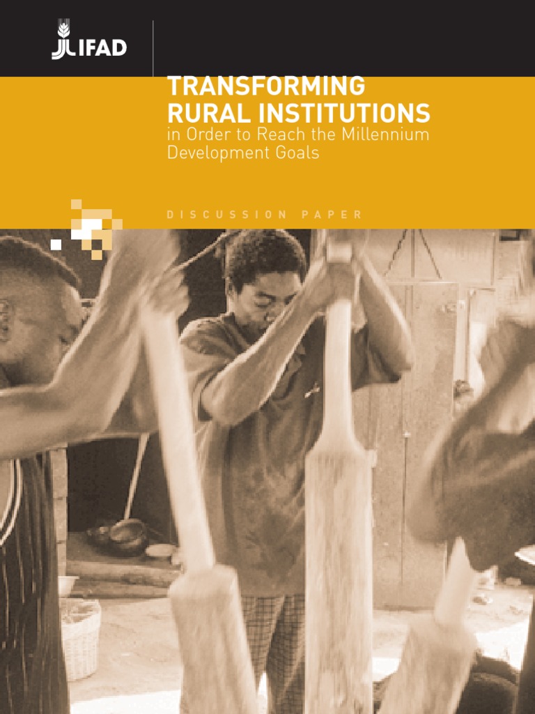 Transforming Rural Institutions for Development | PDF | Rural Poverty ...