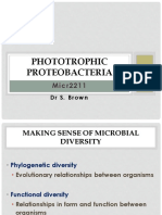 4. Phototrophic Proteobacteria