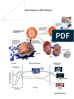 Immune Response To HIV Infection-1