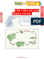 Ciclo de Vida de Los Seres Vivos para Primer Grado de Primaria