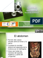 Abdomen