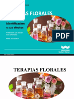 CLASE 6 Terapias Florales