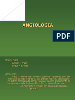 Aula de Angiologia