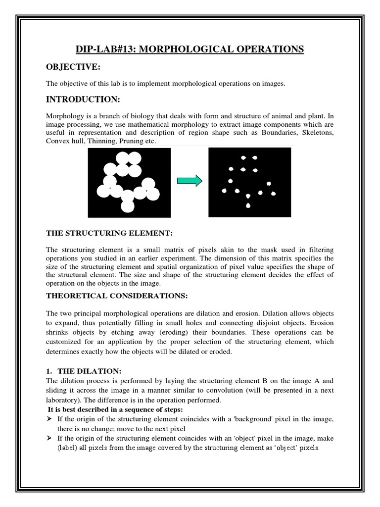 Morphological Processing In Dip