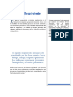 Examen Sistema Respiratorio Christoper FINAL