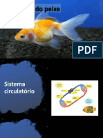 Sistemas Do Peixe