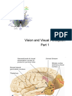 Vision and Visual Perception