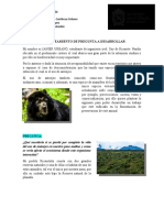 Impacto extinción oso anteojos ecosistema andino