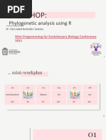 R - Phylogenetics (Autoguardado)