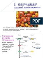 Transposons and Retrotansposons