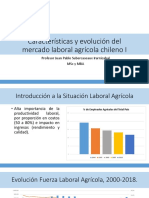 Clase 1 - Caracteristicas y Evolucion Del Mercado Laboral Agricola Chileno I