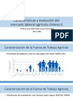 Clase 2 - Caracteristicas y Evolucion Del Mercado Laboral Agricola Chileno II